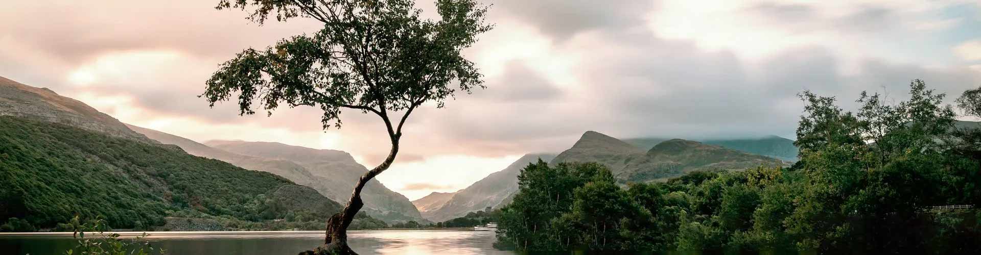 Tips During Early Recovery GateHouse Treatment